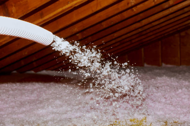 Best Insulation Inspection Services  in USA